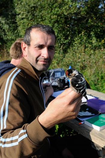 Bruno with lesser spotted woodpecker male
